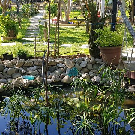 Akmonya Pansiyon Eriklice Ngoại thất bức ảnh