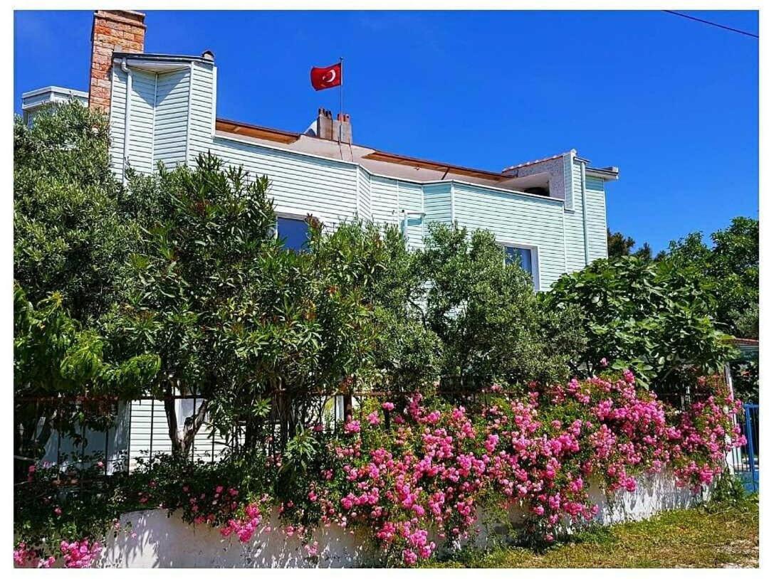 Akmonya Pansiyon Eriklice Ngoại thất bức ảnh
